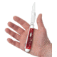 Case Trapper Folding Knife, 4.13 in, Chrome Vanadium Steel, Dark Red Bone Peach Seed Jig Handle, 31950