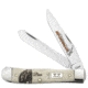 Case Sportsman Series - Embellished Smooth Natural Bone Trapper Blade, 6254 SS - Bear, 50439
