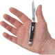 Case Stockman Black Micarta Folding Knife, 3.25in Closed, SS, Satin Clip/Sheepsfoot/Pen Blades, Black Smooth Micarta Handle, 27818