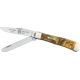 Case Trapper Stainless Knife CA9254BR