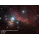 Celestron Advanced VX 800 RASA - Rowe-Ackermann Schmidt Astrograph - Telescope, 8in, f/2.0, 843x, 9.3in Tube 12032
