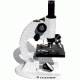 Celestron Laboratory Biological Microscope Compound 40x/100x/400x - 44102