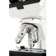 Celestron Labs CB1000CF Biological Microscope, 0.91 in, LED, Dial, White, 44135