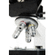 Celestron Labs CB2000C Compound Binocular Microscope,10x,20x Eyepieces,4x,10x,40x,100x Achromatic Objective Lenses 44132