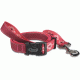 Chaco Dog Leash-Berry Burst