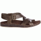 Chaco Wayfarer Sandal - Women's, Otter, 6 US J106530-06.0