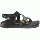 Chaco Z1 Colorado Sandal, Dancing Bears, 7, J199184-7