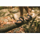 Chaco Z2 Classic Sandal - Men's, Black, 7 US J105427-07.0