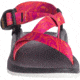 Chaco ZCloud - Womens, Wdstk Ascend Pink, Medium, 5, J107398-5