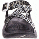 Chaco Zvolv Sandal - Women's, Pane Angora, 6 US J106638-06.0