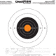Champion Traps and Targets 46100 Re Stick 25 Yd Pistol Slowfile Target 14 5x14 5
