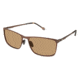 Champion Eyes 6042 Bifocal Prescription Sunglasses CU604202 - Frame Color Dark Brown