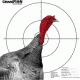Champion Traps and Targets Turkey Patterning Target (3pk)