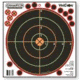 Champion Traps and Targets 100 Yd Sight-In Tgt  5Pk w/30 Rp 46132