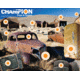 Champion Traps and Targets Full-Color Targets Junkyard Plinker, 11x14 Inches, 12 Per Package, 01003802