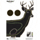 Champion Visicolor Deer Target, Multi, 45816