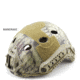 Chase Tactical Bump Helmet Non Ballistic, Mandrake, One Size, CT-BUMP1-MA