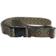 Cheeky Fishing Cheeky Wading Belt, Psychedelic Trout, One Size, C-WAD-703-OS