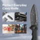 CIVIVI Button Lock Praxis Knife - C18026E-DS1