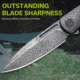 CIVIVI Caetus Folding Knife, 4.5in Closed, 3.5in Damascus Steel Blade, Carbon Fiber Handle, Nylon Case, C21025C-DS1