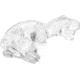 Clear Ballistics Ballistic Gel 3-D T-Rex Target, Clear, CBG-7529