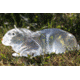 Clear Ballistics Ballistics Gel 3-D Rabbit Target, Clear, CBG-7970