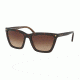 Coach HC8191F Sunglasses 539413-56 - Dark Tort/Dark Tort Gold Sig C Frame, Smoke Gradient Lenses