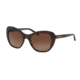 Coach HC8204F Sunglasses 5120T5-54 - Dark Tortoise Frame, Brown Gradient Polarized Lenses