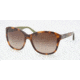 Coach L009 KENDALL HC8017 Sunglasses 503113-5616 - Tortoise Brown Gradient