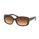 Coach L146 HC8161 Sunglasses 512013-55 - Dark Tortoise Frame, Brown Gradient Lenses