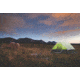 Coleman Aspenglen 4-Person Instant Dome Tent, Gray / Green 2000018244