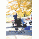 Coleman Cooler Quad Chair - SIOC, Black, CM1010210002-12