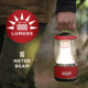 Coleman D Battery 1000 Lumens LED Lantern w/BatteryGuard, Black, CM1011510001-23