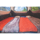 Coleman Instant Tent, 6 Persson, CM1010110023-6