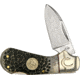 Colt Buckshot Bone Cub Folding Knife, 1.5in, Stainless Blade, Buck Shot Bone Handle CT486