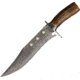 Colt Washington Bowie Fixed Blade Knife,10.5in,Clip Point Blade,Stag Handle CT828