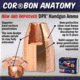 Cor Bon 380 Auto 80 Grain Jacketed Hollow Point -DPX Brass Cased Pistol Ammo, 20 Rounds, DPX38080/20