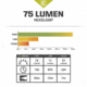 Core Equipment Headlamp, 75 Lumen, Gray, 2.2 x 1.6 x 1.3 in, 40015