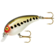 Cotton Cordell Big O Square Lip Crankbait, 2.25in, 1/3 oz, Floating, Baby Bass, C77560