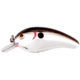 Cotton Cordell Big O Square Lip Crankbait, 2.25in, 1/3 oz, Floating, Chrome/Black, C7704
