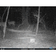 Cuddeback C2 Long Range Video Camera 20 MP Brown