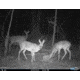 Cuddeback C2 Long Range Video Camera 20 MP Brown