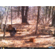 Cuddeback C2 Long Range Video Camera 20 MP Brown