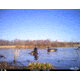Cuddeback C2 Long Range Video Camera 20 MP Brown