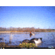 Cuddeback C2 Long Range Video Camera 20 MP Brown