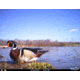Cuddeback C2 Long Range Video Camera 20 MP Brown