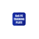 Custom Armor Group Non Ballistic Blue Marked SAPI Training Plate, 6in x 6in, GTP-SC-FC-66-NY