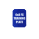 Custom Armor Group Non Ballistic Blue Marked SAPI Training Plate, 6in x 8in, GTP-SC-FC-68-NY