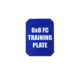 Custom Armor Group Non Ballistic Blue Marked SAPI Training Plate, 6in x 8in, GTP-SC-FC-68-NY