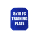 Custom Armor Group Non Ballistic Blue Marked SAPI Training Plate, Full Cut, 8in x 10in, GTP-SC-FC-810-NY